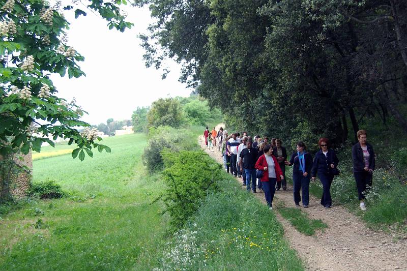 LA MARCHE 2.jpg